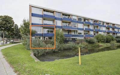 Zonnebloems. 198