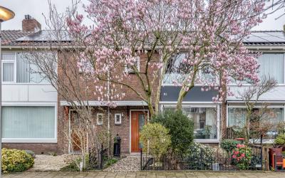 Perkstraat 29