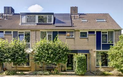 Groenestein 2
