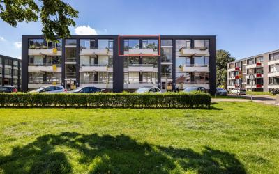 Graaf Wille. 40