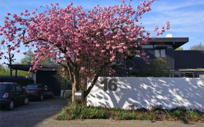Gerard Alewijnsstraat 16