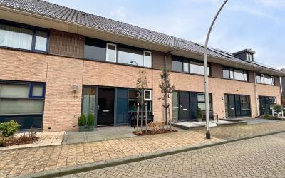 Boterbloem 30
