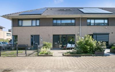 Boterbloem 33