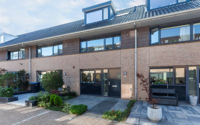 Boterbloem 61