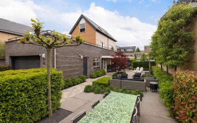 Zwanebloem 14