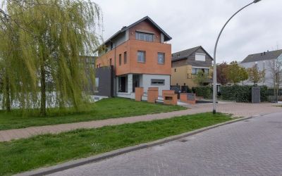 Zwanebloem 32