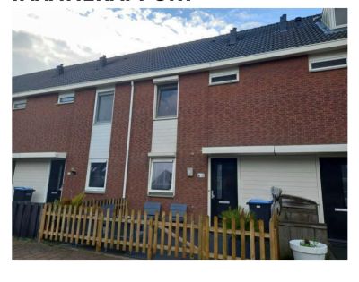 Steur 336
