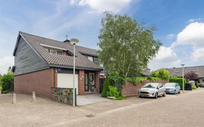 Staartmolen 10