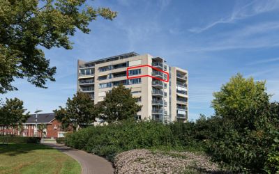 Zonnedauw 55