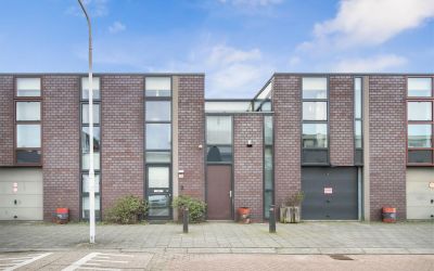Zonnebloems. 38
