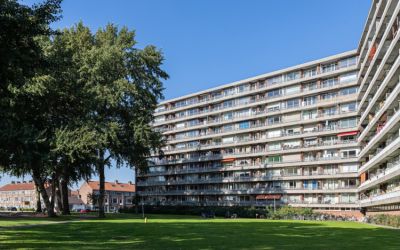 Vrijheer va. 217