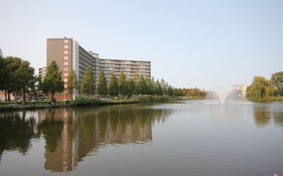 Vrijheer va. 239