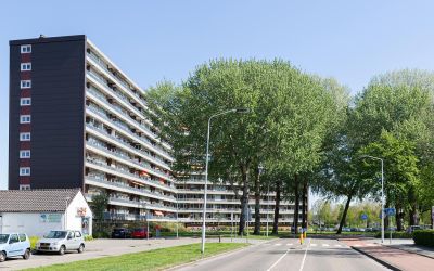 Vrijheer va. 397