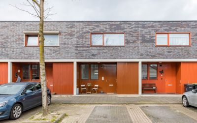 Goudsbloems. 25