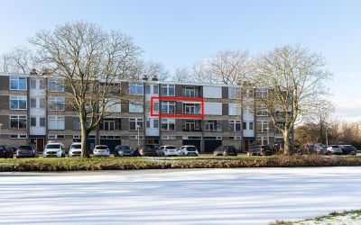 Witte de Withstraat 24