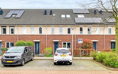 Pergolesila. 12