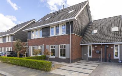 Goudreinet 44