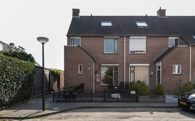 Steur 10