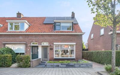 Wilhelminas. 26