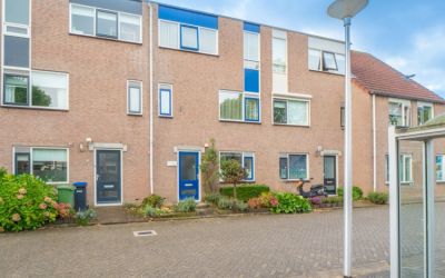 Goudplevier 35
