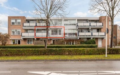 Goudplevier 5
