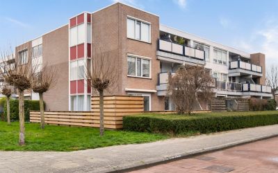 Goudplevier 7