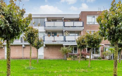 Goudplevier 73