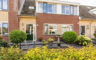 Moerasbos 3