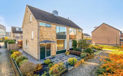 Floris van. 1