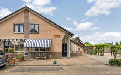De Waard 2