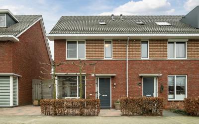 Dotterbloem 8