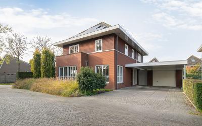Pijlkruid 1