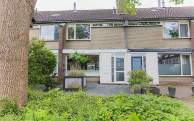 Lodewijkstr. 43