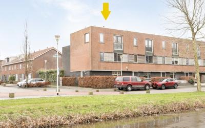 Wantslag 12