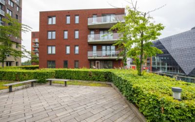 Noordstedew. 114