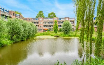 Muiderschans 113