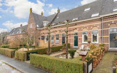Koninginnen. 6
