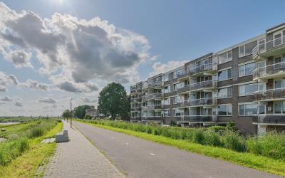 Middelmonde 51