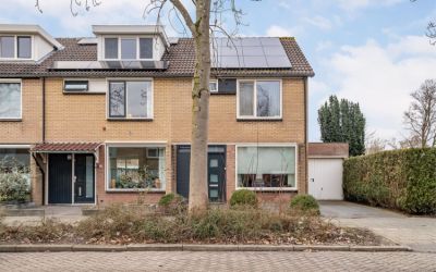 Zonnebloems. 2