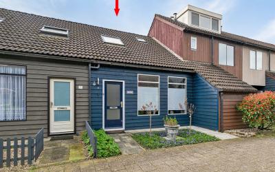 Houtduif 9