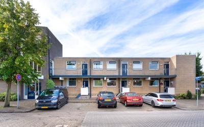 Specht 19