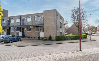 Specht 23