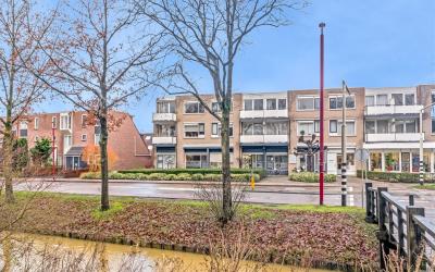 Specht 33