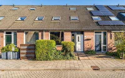 Steenarend 103