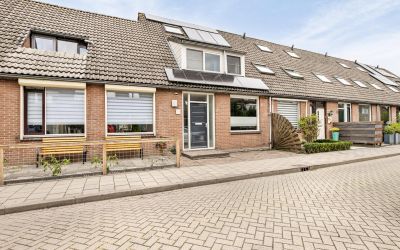 Steenarend 97