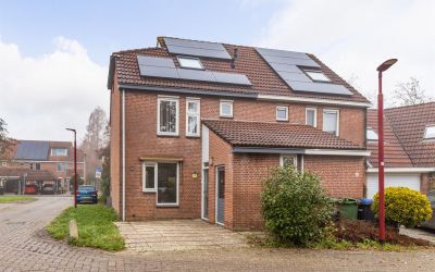 Zeearend 1