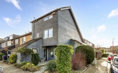Goudvink 46