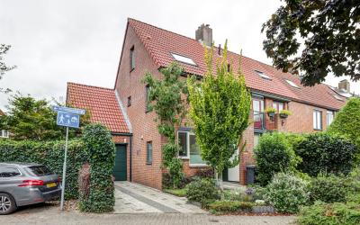 Winterkoning 13