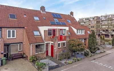 Winterkoning 25
