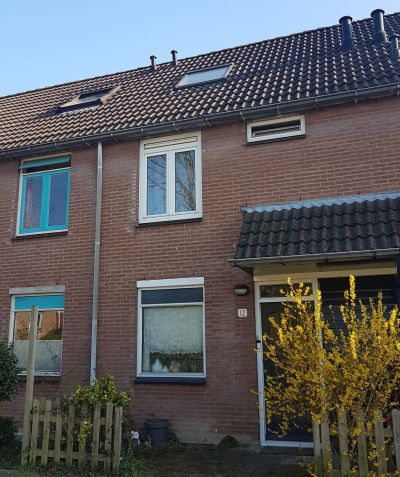 Koningfazant 12